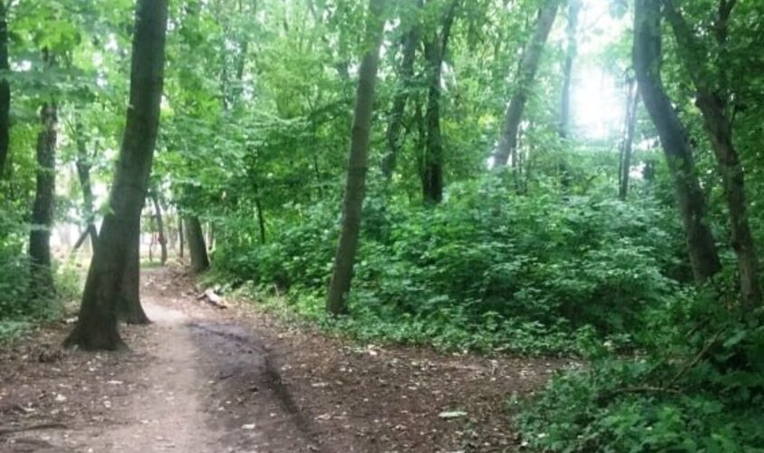 Парк та два озера в Львівській громаді матимуть балансоутримувача
