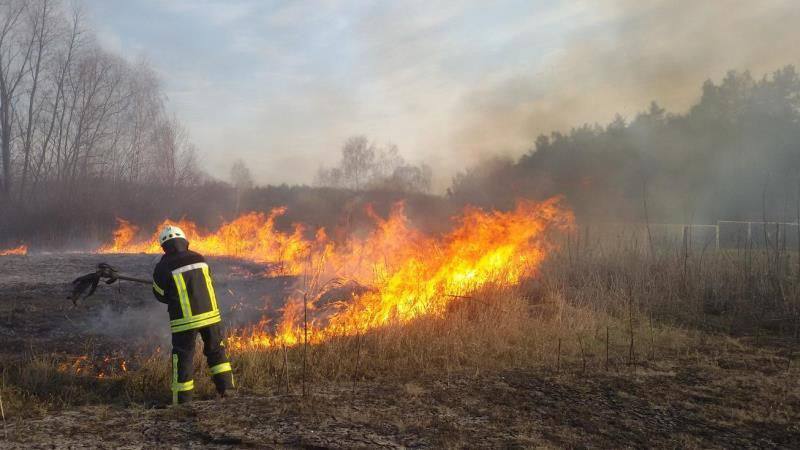За минулу добу на Львівщині вогонь знищив понад 1000 квадратних метрів сухостою