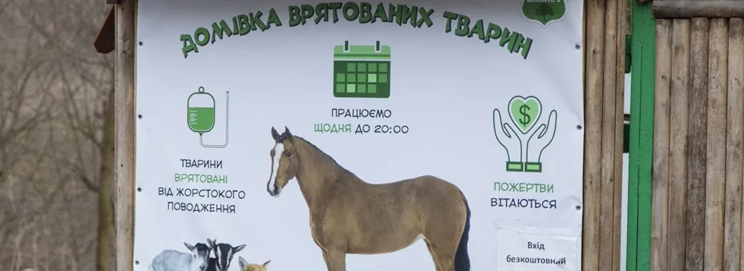 Керівник “Домівки врятованих тварин” оголосив збір для закриття боргів притулку
