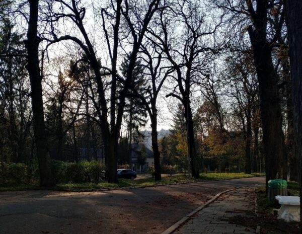 Ще 5 об’єктів природно-заповідного фонду з’явилися на Львівщині: локації