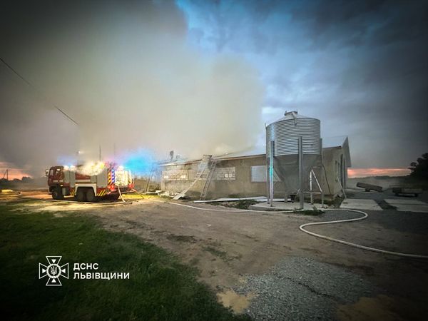 Через пожежу на Золочівщині ледь не згоріло 30 тисяч курчат