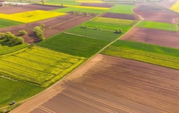 На Львівщині прокурори повернули землю Жидачівській громаді