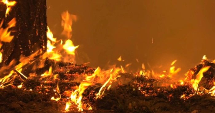 В закинутій будівлі на Червоноградщині згорів 48-річний чоловік