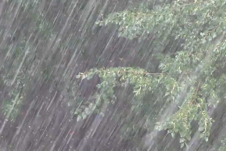 Сильні дощі та грози: якою буде погода на Львівщині 1 липня