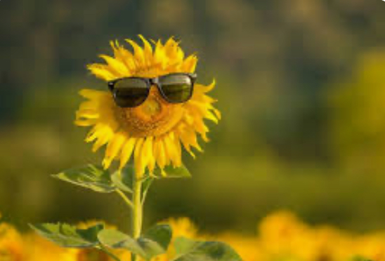 Хмарно, але без опадів: якою буде погода на Львівщині 25 червня