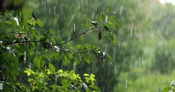 Хмарно та дощі: якою буде погода на Львівщині 12 червня