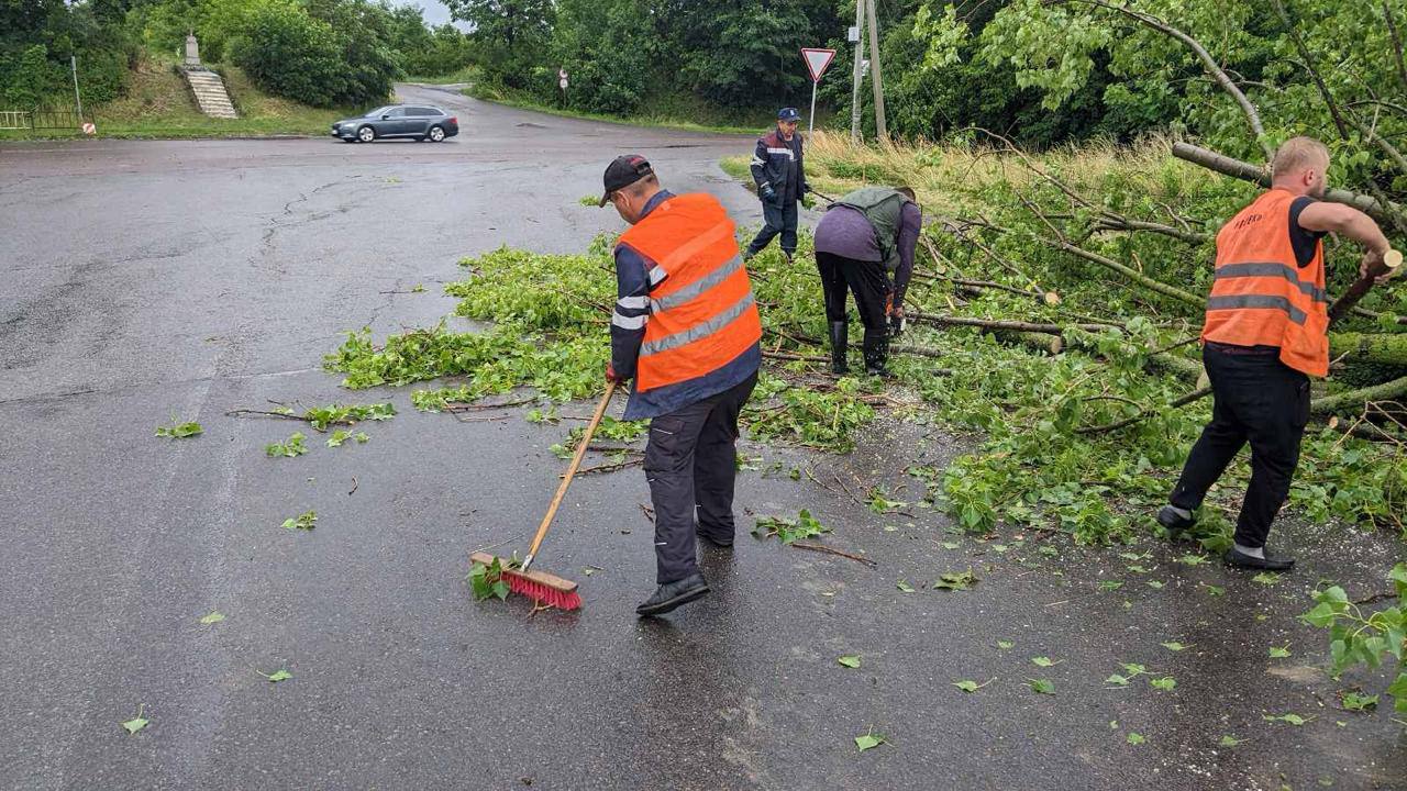 У Львові через негоду повалено близько 100 дерев та пошкоджено 10 дахів