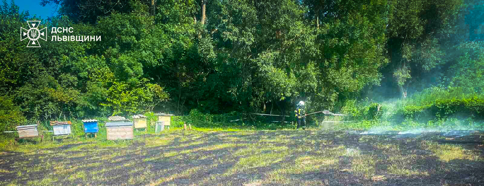На Червоноградщині через спалення сухостою ледь не згоріла пасіка