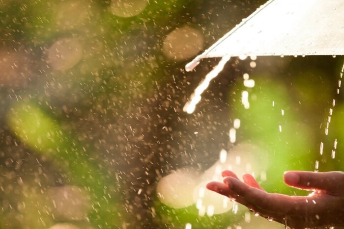 Спека та дощі: якою буде погода у вівторок на Львівщині