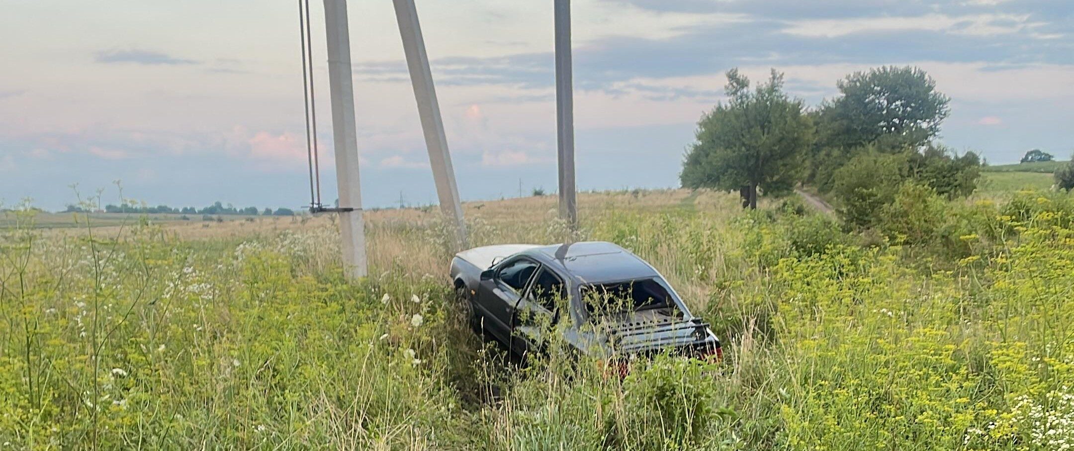 На Львівщині водій Audi на смерть збив жінку, яка переводила через дорогу корову