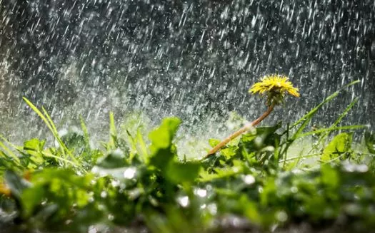 Вдень до 27° тепла та дощ: якою буде погода на Львівщині завтра