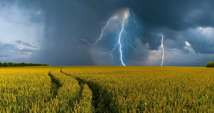 Дощі та грози: якою буде погода на Львівщині завтра