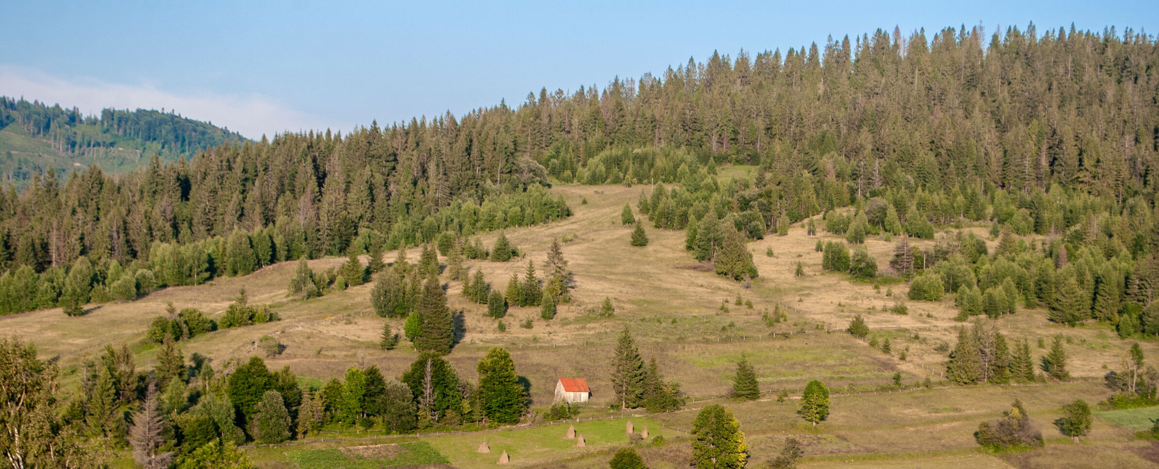 В горах на Львівщині рятувальники знайшли тіло 57-річного чоловіка