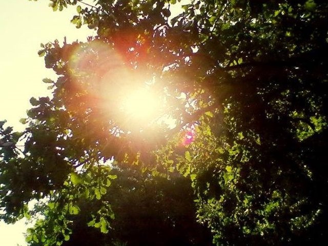 Вночі дощ, вдень без опадів: якою буде погода завтра на Львівщині