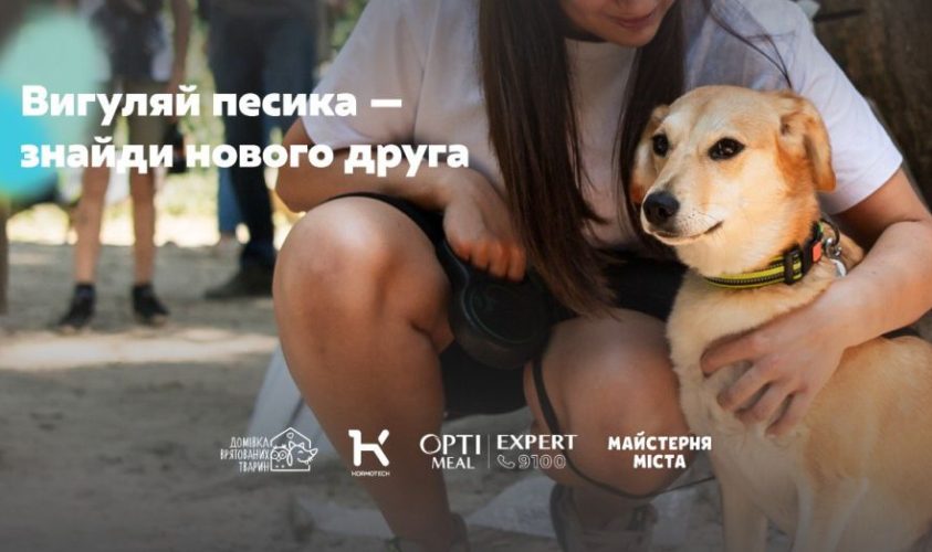 Львів’ян запрошують на серію подій у Домівці врятованих тварин, щоб знайти свого улюбленця: деталі