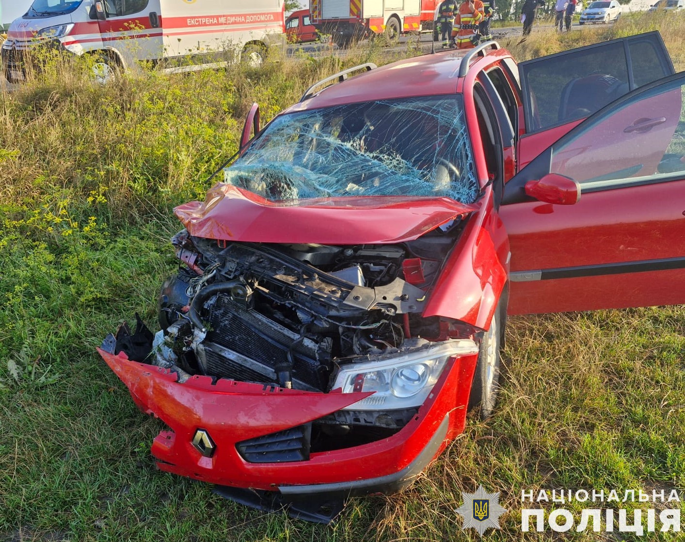 У Червоноградському районі в ДТП травмувались четверо пасажирів Renault Megane