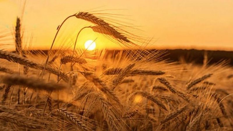 Тепло і без опадів: якою завтра буде погода на Львівщині