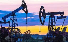 Суд зупинив компанії Козицького право користування родовищем газу