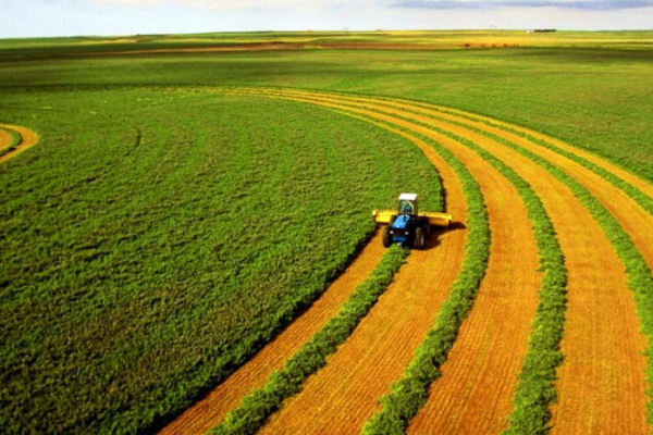Посадовця кооперативу на Львівщині оштрафували за підробку документів для земельних махінацій