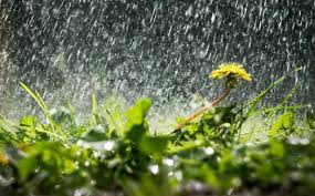 Якою буде погода на Львівщині 28 серпня