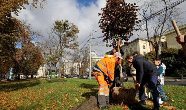 У Львові триває акція “Подаруй місту дерево”: як долучитися