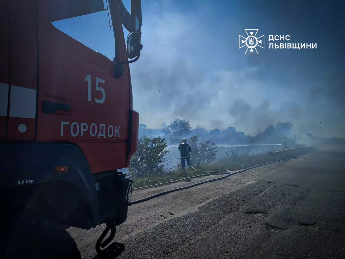 За вихідні на Львівщині в пожежах вигоріло 16 гектарів землі