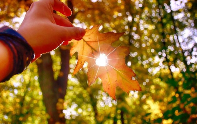 Завтра синоптики на Львівщині опадів не прогнозують