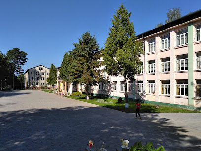 Учні двох шкіл області отримають поглиблену спортивну освіту з волейболу та футболу