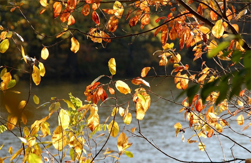 Якою буде погода на Львівщині завтра