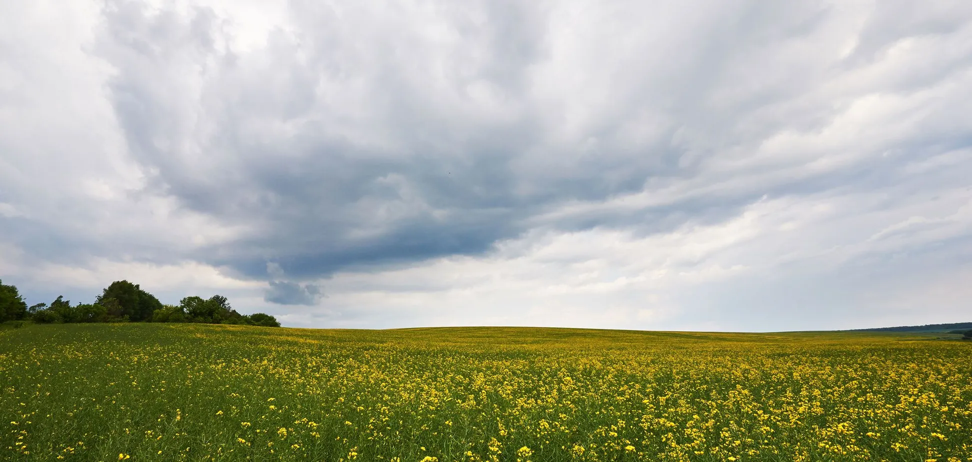 Хмарно та вітряно: якою буде погода цього понеділка на Львівщині
