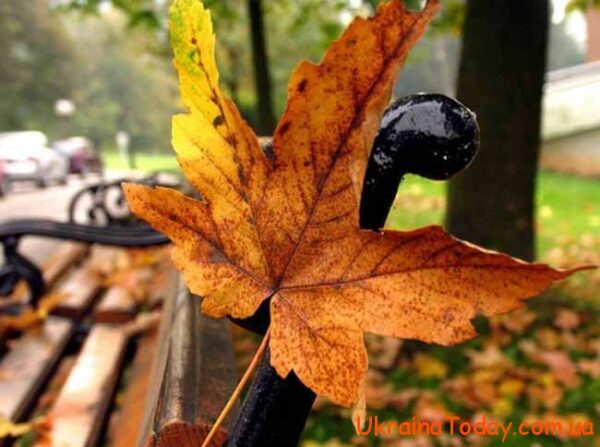 Хмарно з проясненнями: якою буде погода 22 вересня