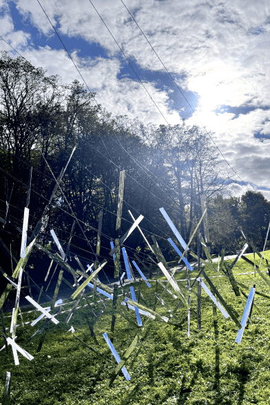 У Львові відкрився арт-об’єкт, присвячений українським волонтеркам (ВІДЕО)