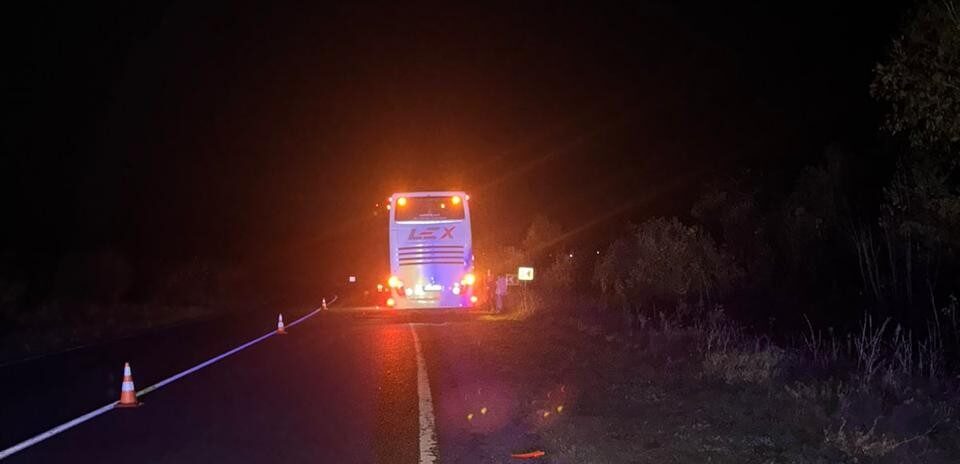 На Львівщині водій пасажирського автобуса на смерть збив 32-річного чоловіка