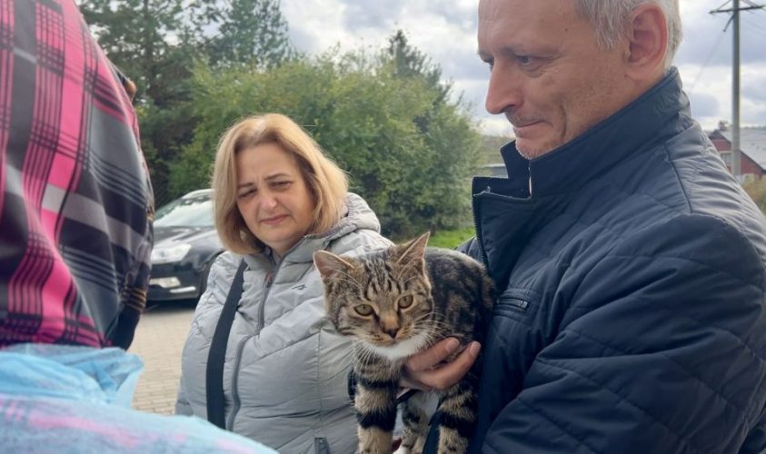 Мешканців с.Підбірці запрошують на безкоштовну вакцинацію домашніх тварин від сказу