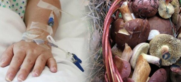 До однієї з львівських лікарень потрапили двоє дітей з Тернопільщини через отруєння грибами