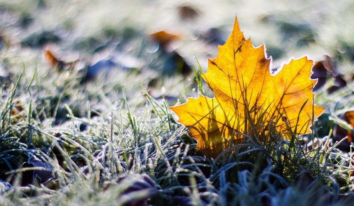 Сильний заморозок: якою буде погода на Львівщині 2 жовтня