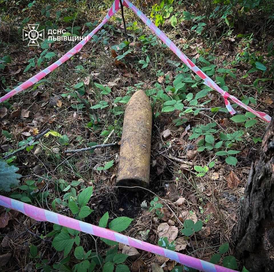 Грибники на Львівщині знайшли боєприпас часів ІІ Світової війни