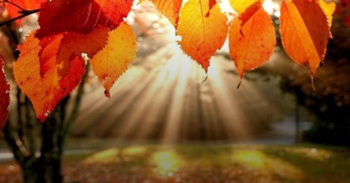 Синоптики розповіли, якою буде погода на Львівщині 10 жовтня