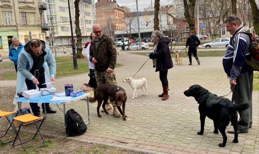 У Львівській громаді безкоштовно вакцинуватимуть домашніх улюбленців від сказу: як зареєструватися