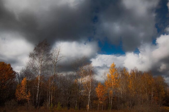 Хмарно, проте без опадів: якою буде погода на Львівщині 12 жовтня