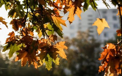 Синоптики розповіли, якою буде погода на Львівщині 23 жовтня