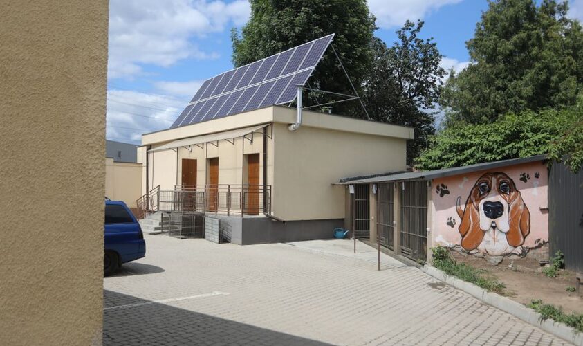 У ЛКП “Лев” вводять тижневий карантин