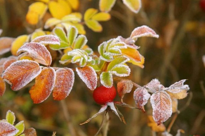 Синоптики розповіли, якою буде погода на Львівщині 30 жовтня