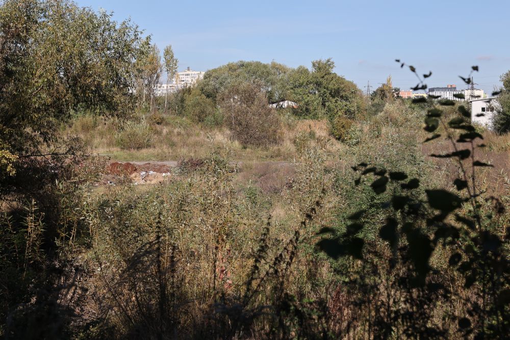 На Сихові облаштують парк пам’яті полеглих Героїв