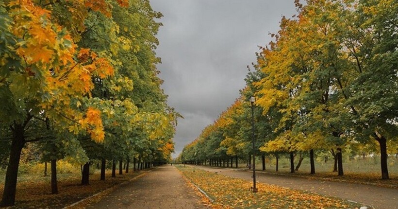 Хмарно та до +10°: якою буде погода цього понеділка на Львівщині