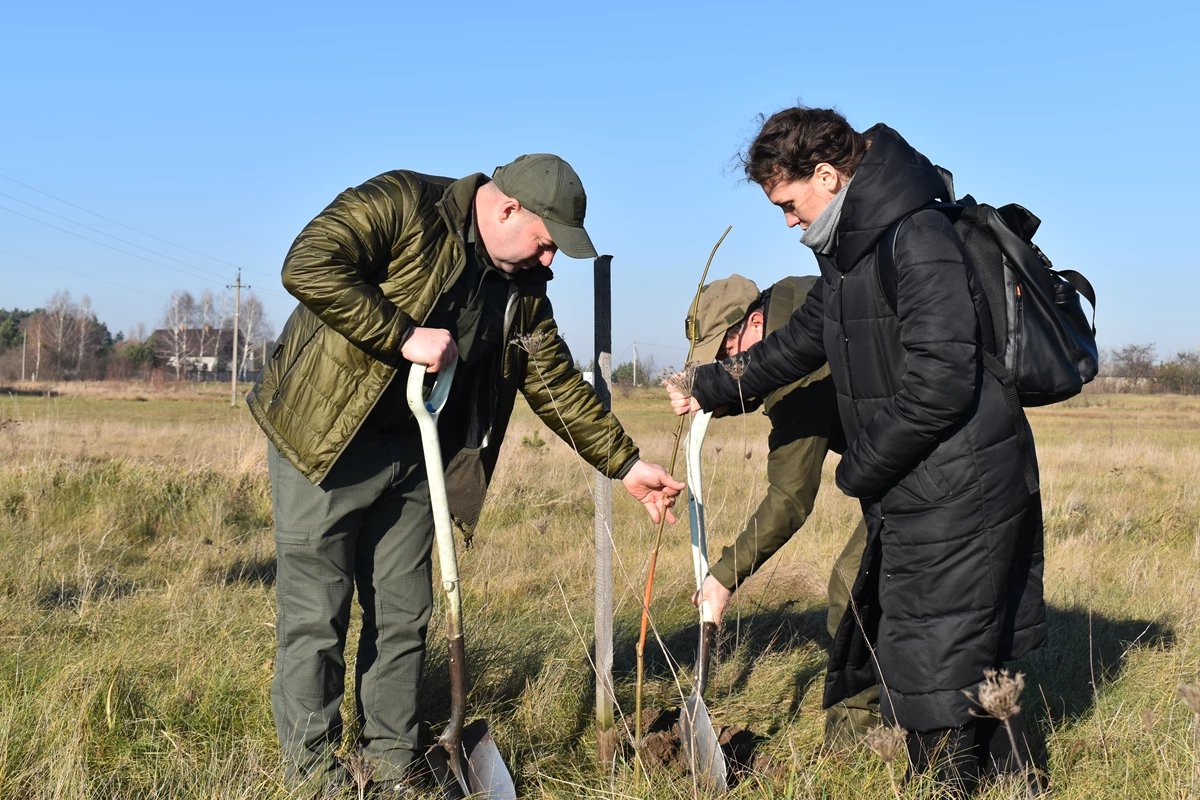 Найдовша в країні: на Жовківщині поновили новими деревами Алею Героїв