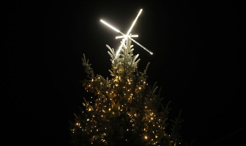 Стало відомо, коли у Львові засвітять головну ялинку міста