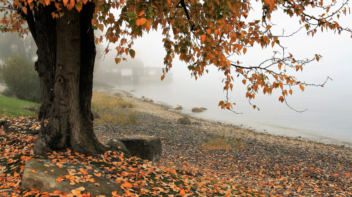 Синоптики попередили про можливу ожеледицю цієї ночі на дорогах Львівщини