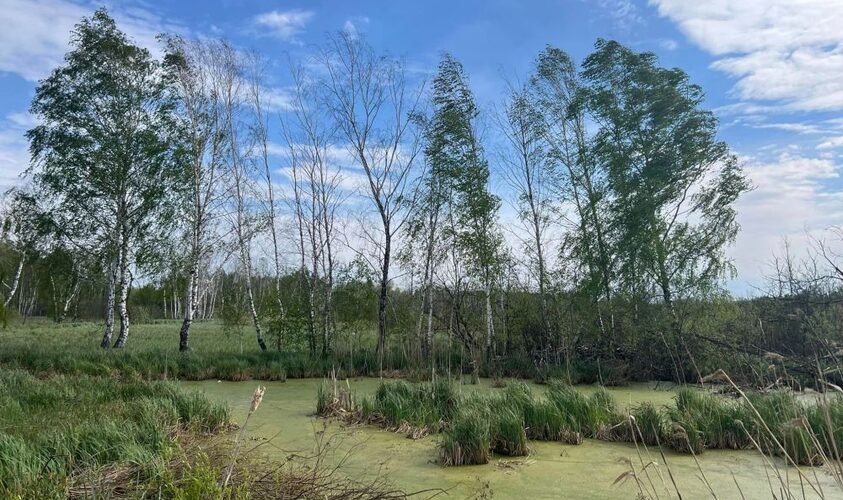 У львівському заказнику встановили фотопастки для фіксування несанкціонованого викидання сміття