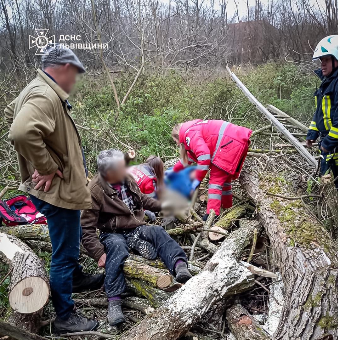 На Самбірщині на двох чоловіків під час зрізання впало дерево